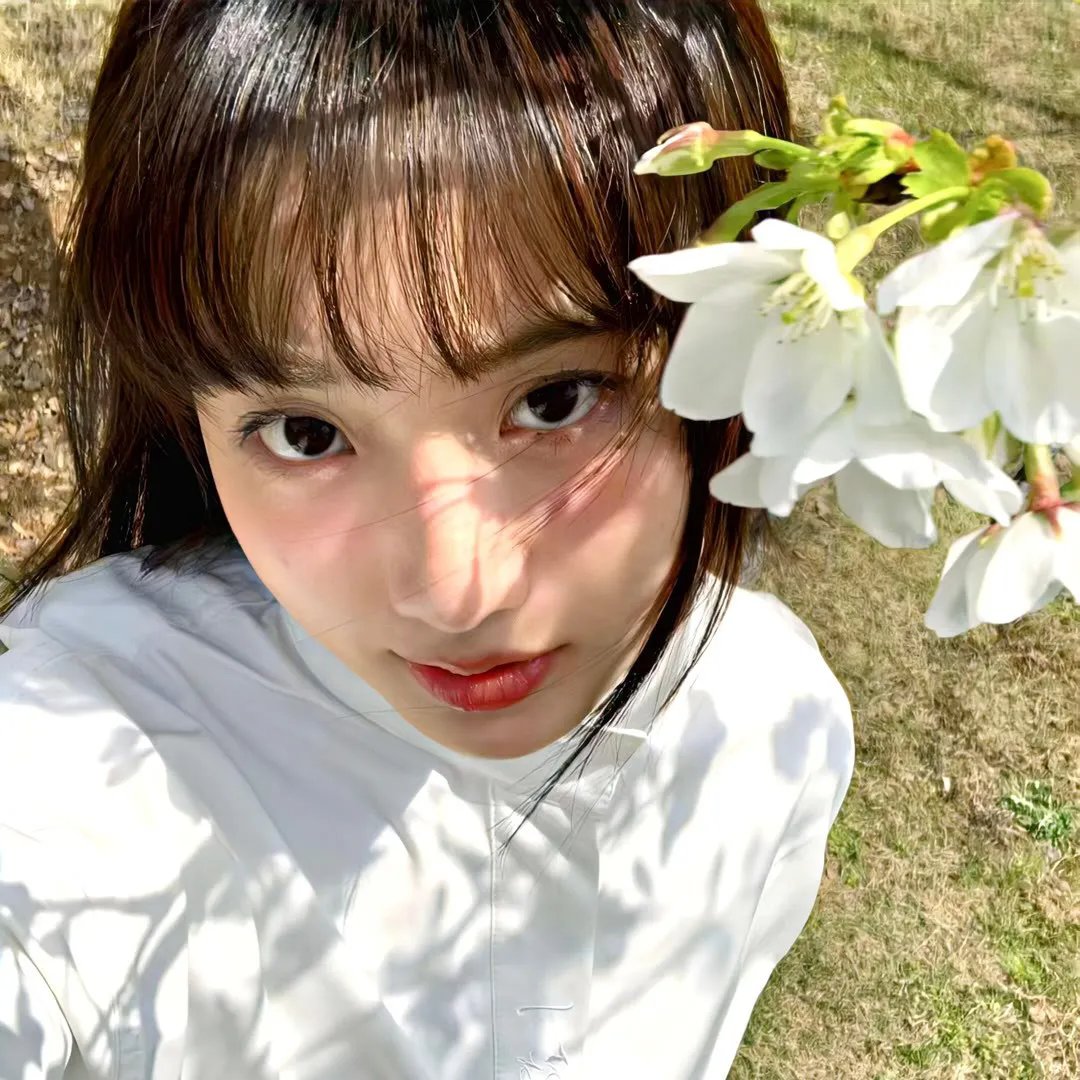 加菲猫和他的朋友们第三季